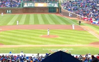 Betty Attends Chicago Cubs Game at Wrigley Field