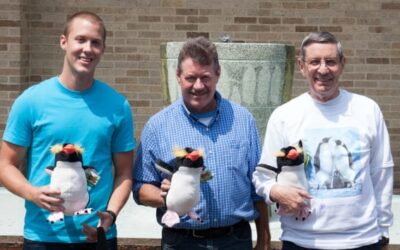 Walter Interacts with Penguins