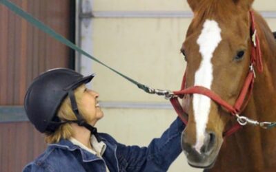 Theresa Gets Back in the Saddle