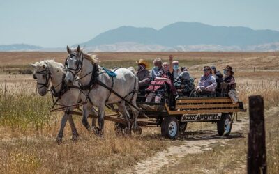 Quean Lives Out Her Wild West Dreams with a Horse-Drawn Adventure