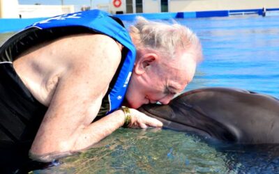 Bob Swims With Dolphins