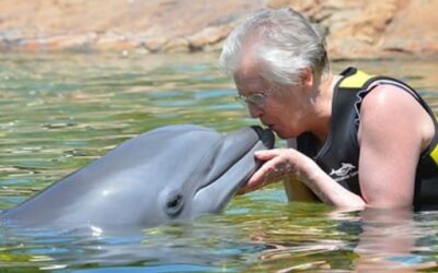 Mary Takes a Swim with the Dolphins