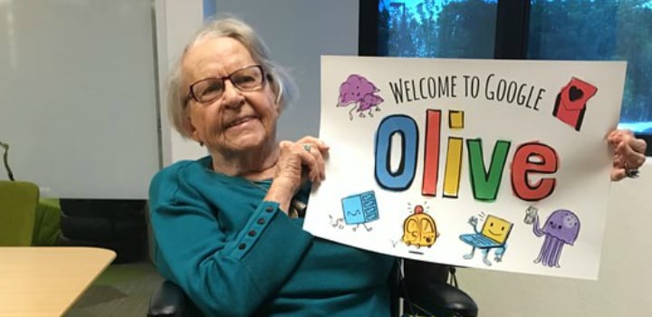 olive-main-