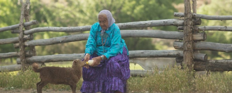 An older Navajo woman bottle feeds a brown lamb