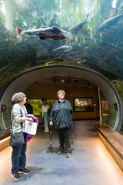 Two women look up at fish in an indoor underwater viewing tank.