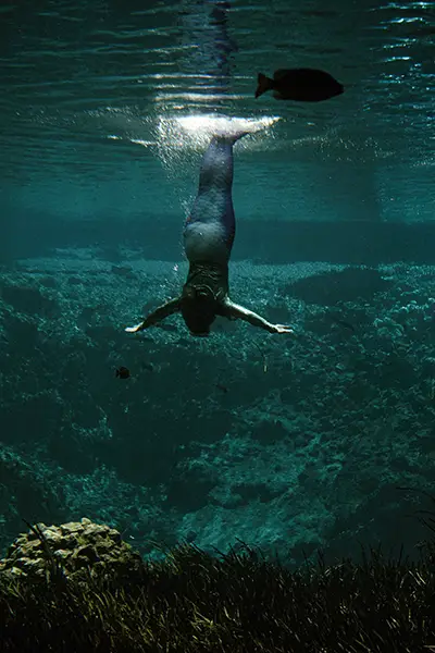 A woman dives into a natural underwater cavern.