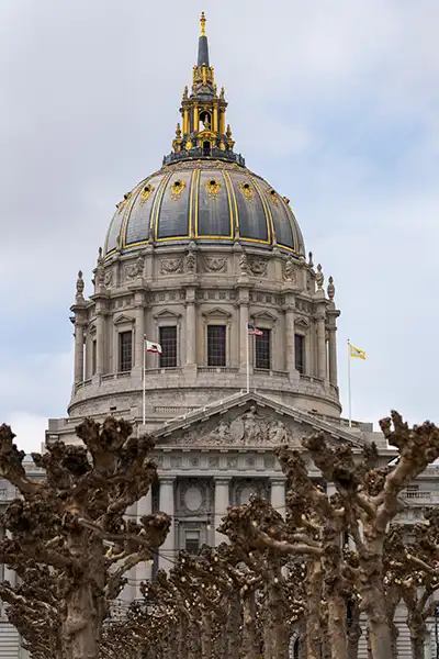 Trees stand in front of a historic government building with a dome roof